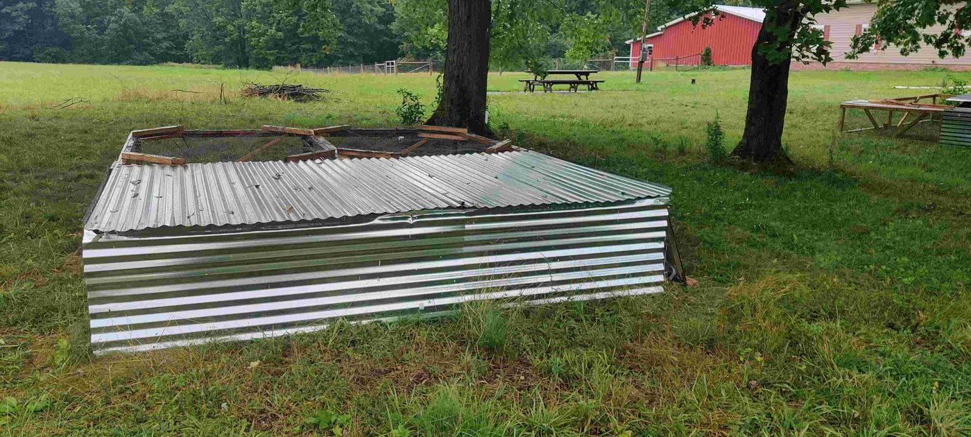 Pastured chicken project photo